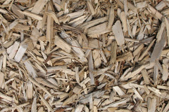 biomass boilers Tipner
